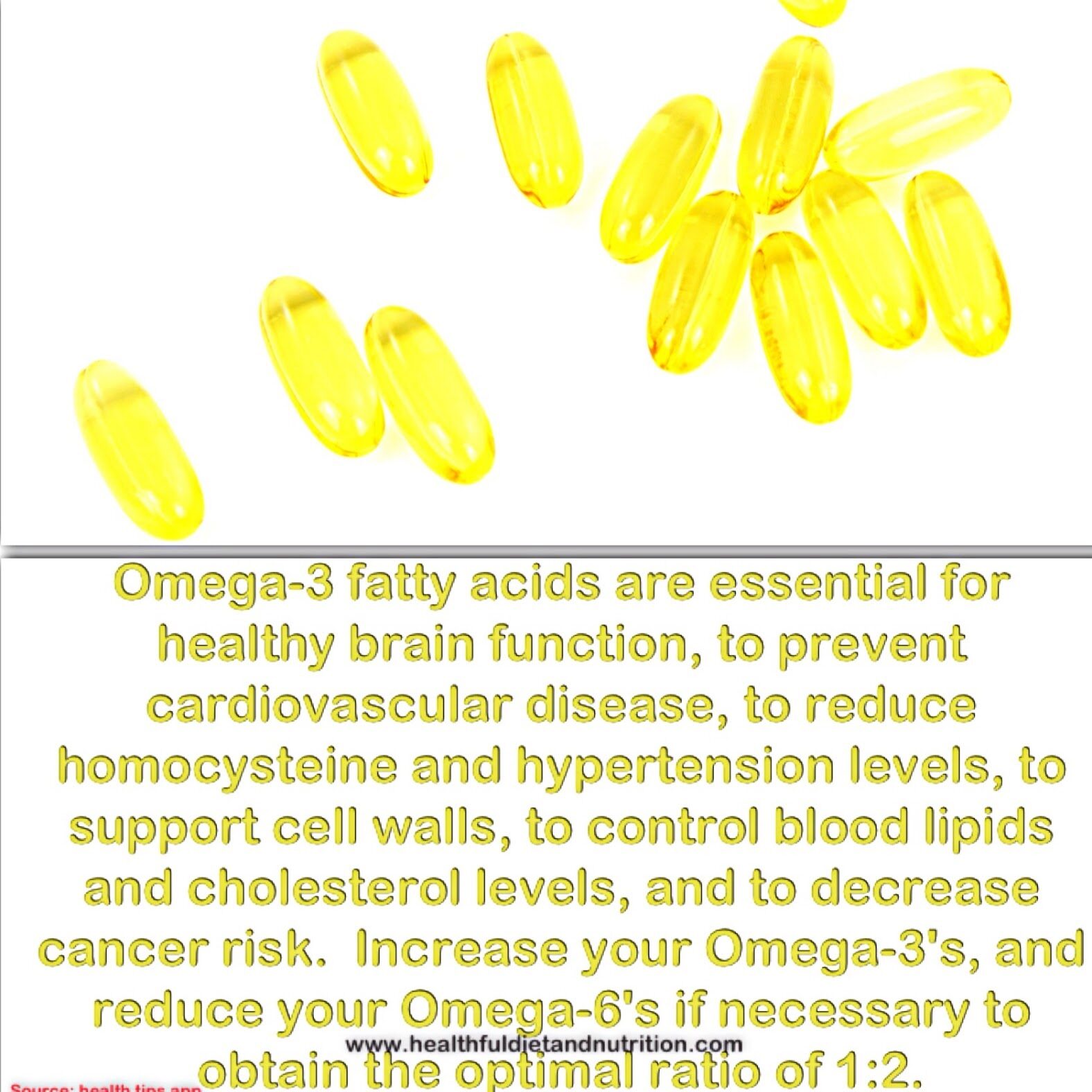 Omega-3 Fatty acids