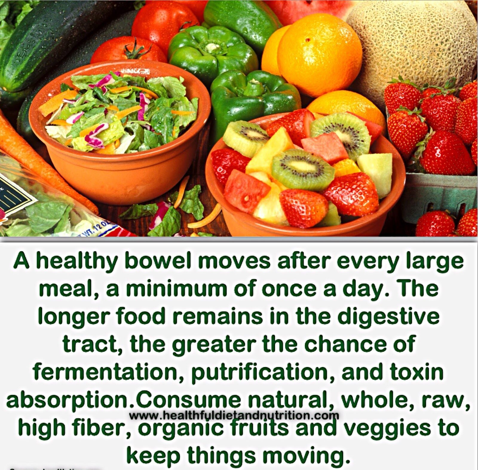 Healthy Bowel Movement